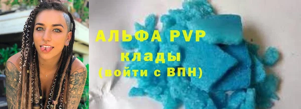 крисы Алзамай