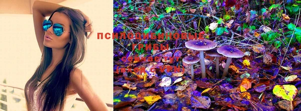 mix Алексеевка