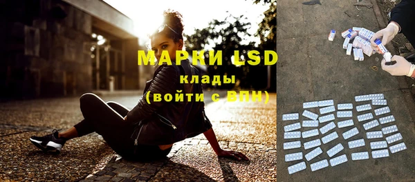 крисы Алзамай