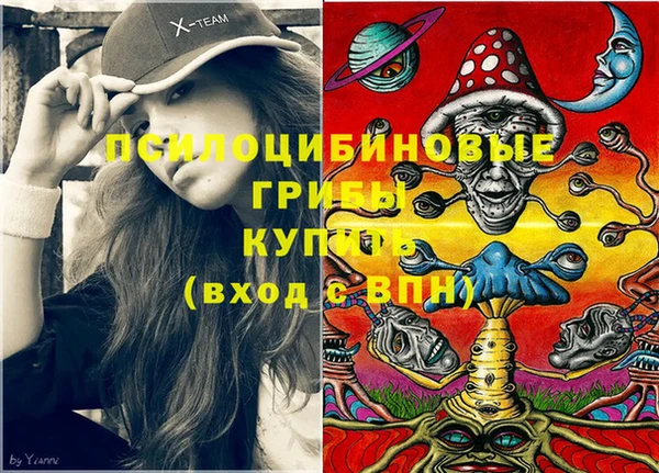 крисы Алзамай