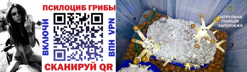 Галлюциногенные грибы мицелий где купить наркоту Арамиль